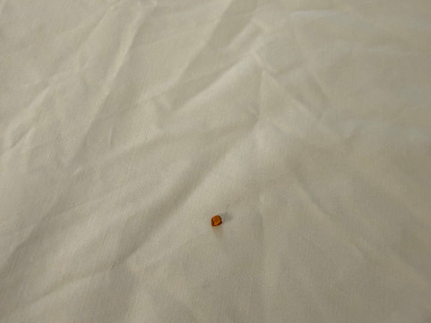 智选假日套房酒店村主图