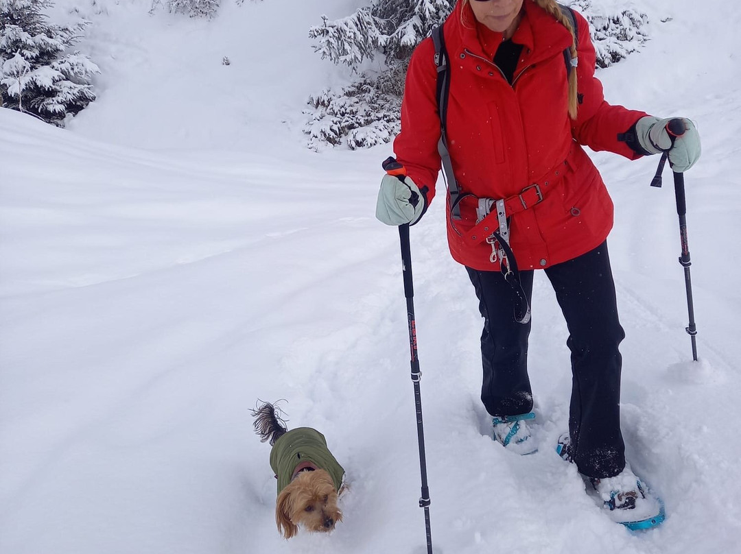 Cherries Walks-Le Chable必去景点
