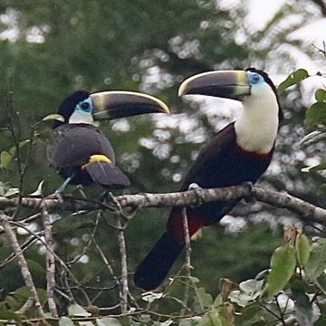 亚里那生态小屋-官方