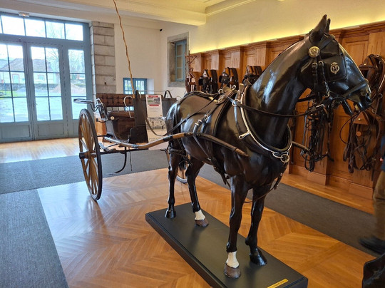 LE HARAS DE TARBES-塔布必去景点