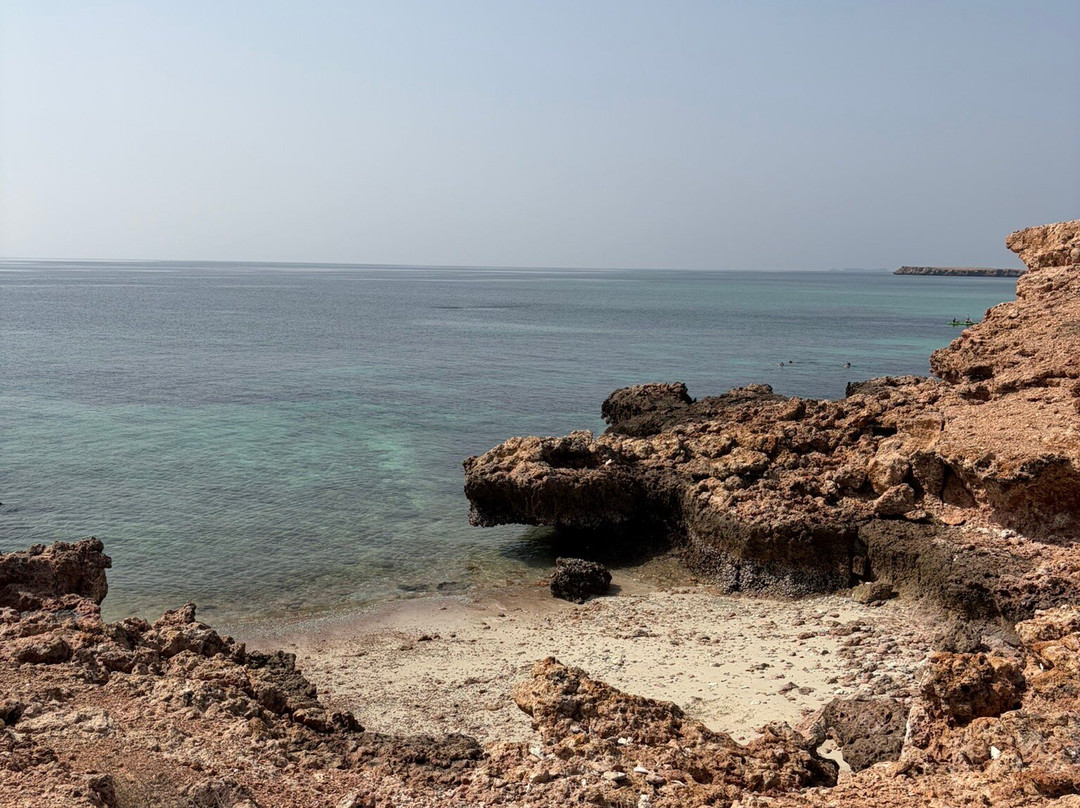 Daymaniat Shells-马斯喀特必去景点