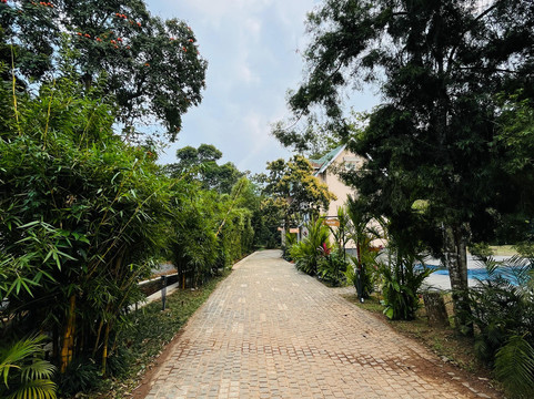 维蒂里格林斯度假村主图