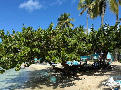 Secret Harbour-圣 托马斯必去景点