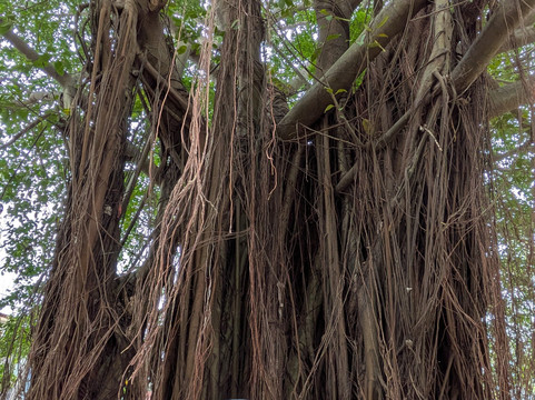 SST TRAVEL-胡志明市必去景点
