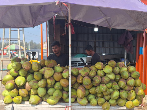 The Cook's Adventures-坎特伯雷必去景点