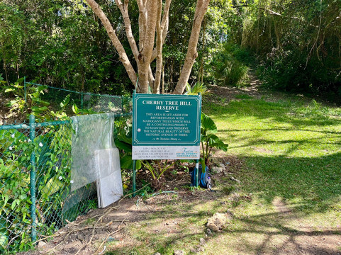Cherry Tree Hill-巴巴多斯必去景点