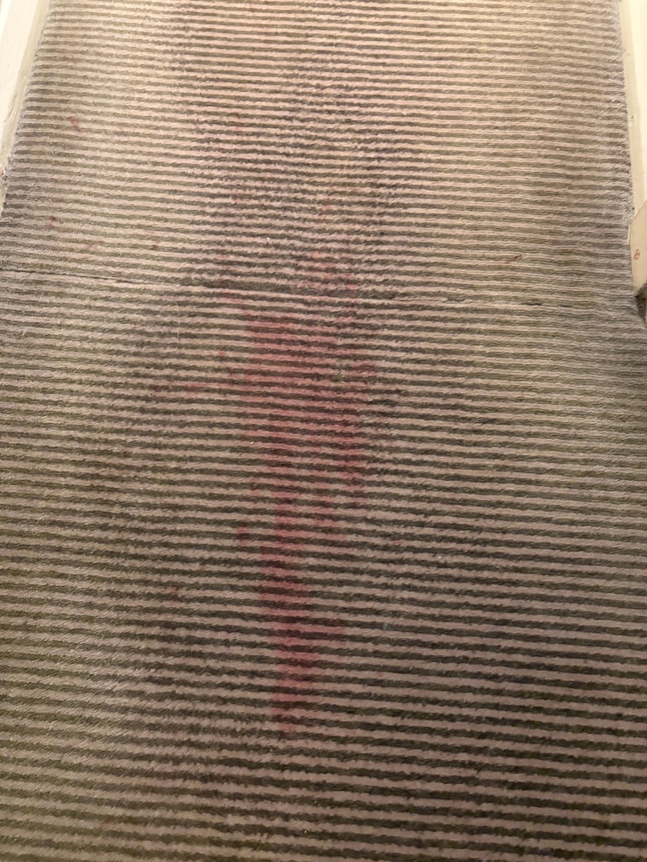 科尔斯希尔酒店 - 格林国王旅馆-官方