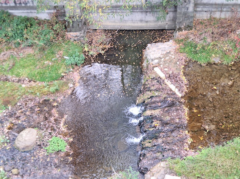 Pensiunea Roza主图