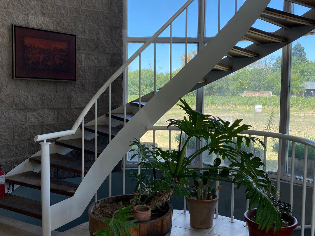 Dolium Winery-阿格雷洛必去景点