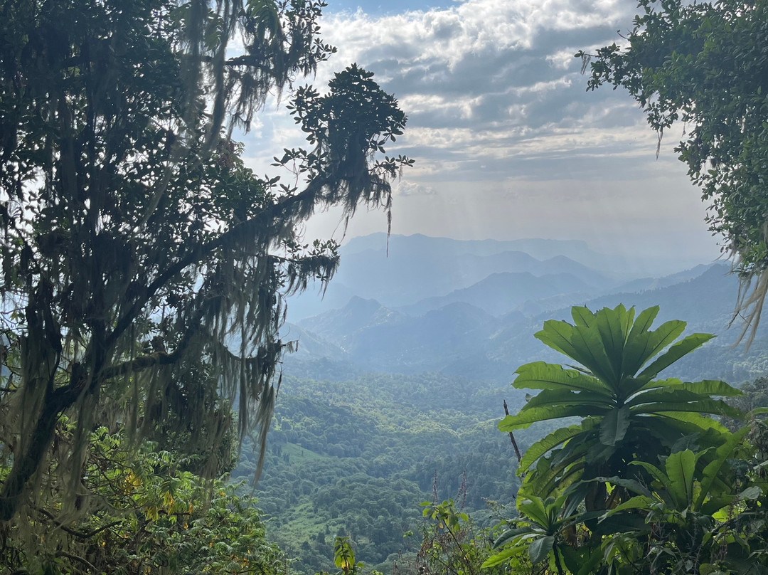 Mount Elgon Trekkers-Kapchorwa必去景点