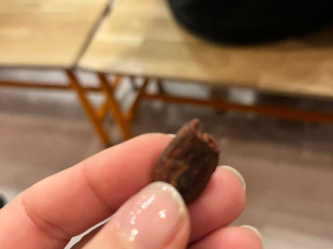 Chocoversum-汉堡必去景点