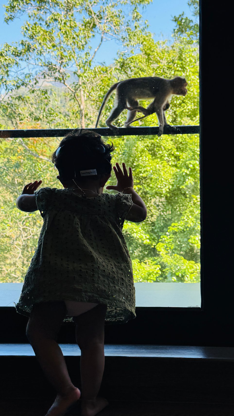 Flora Vythiri Resort-官方