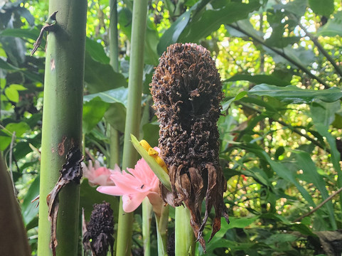 Sloths Paradise Rainforest-Bijagua de Upala必去景点