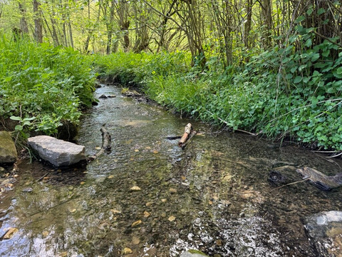 LVR-Freilichtmuseum Lindlar-Lindlar必去景点