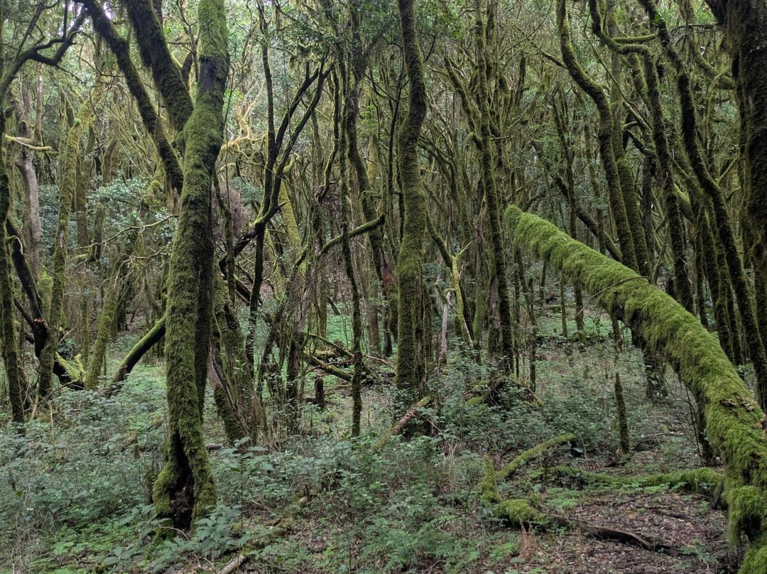 Timah-La Puntilla必去景点