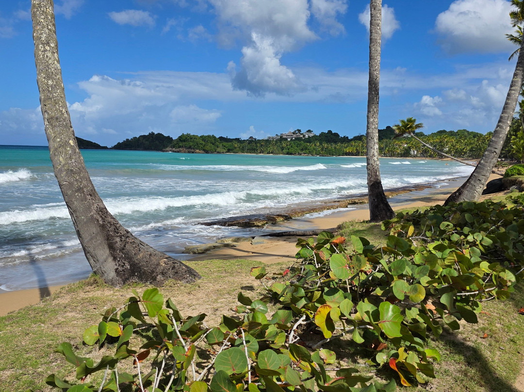 亚特兰提斯酒店主图