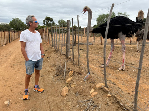 Highgate Ostrich Show Farm-奥兹洪必去景点