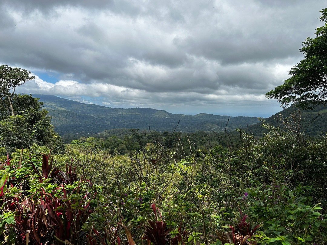 Costa Rica Eco Journeys-利比里亚必去景点