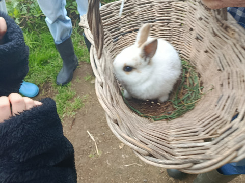 Quinta do Agricultor-蓬塔德尔加达必去景点