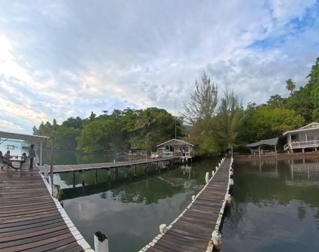 漂流木度假村主图