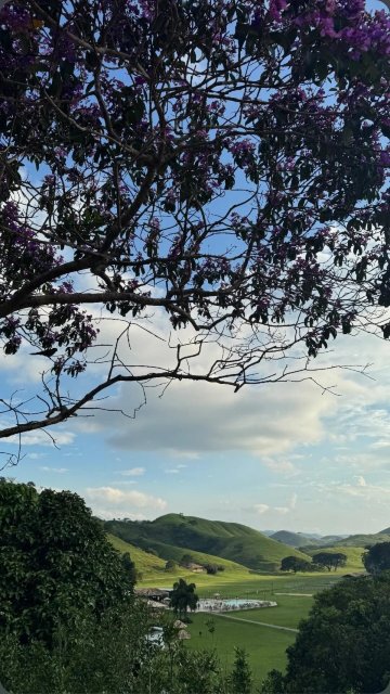 Fazenda Ribeirão Hotel De Lazer-官方