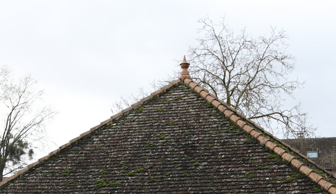 La source et le lavoir de Perrey-Crissey必去景点