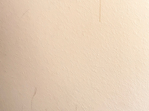 孟菲斯沃尔夫切斯拉昆塔温德姆套房酒店主图