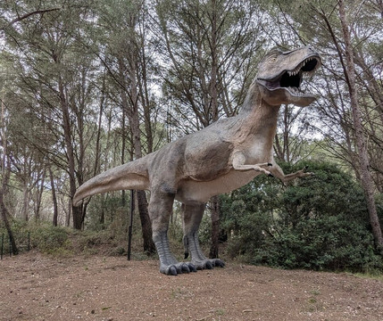 Musee - Parc des Dinosaures-Meze必去景点