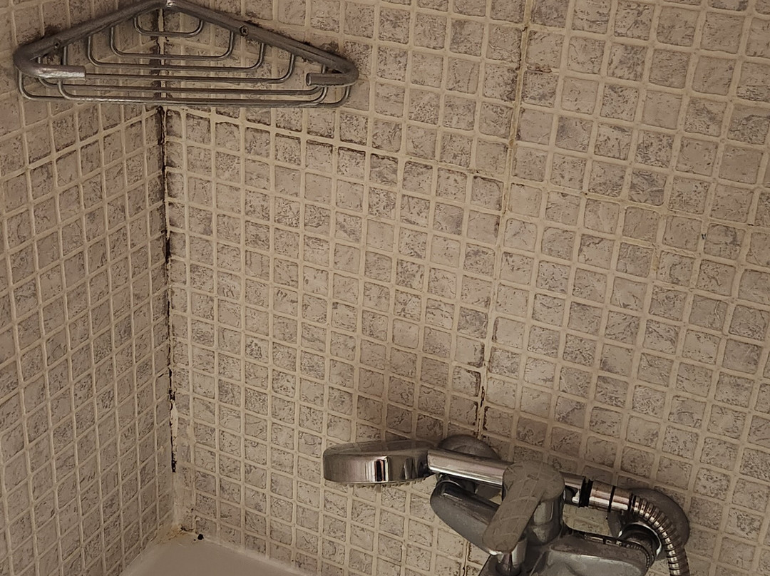 欧罗巴酒店主图