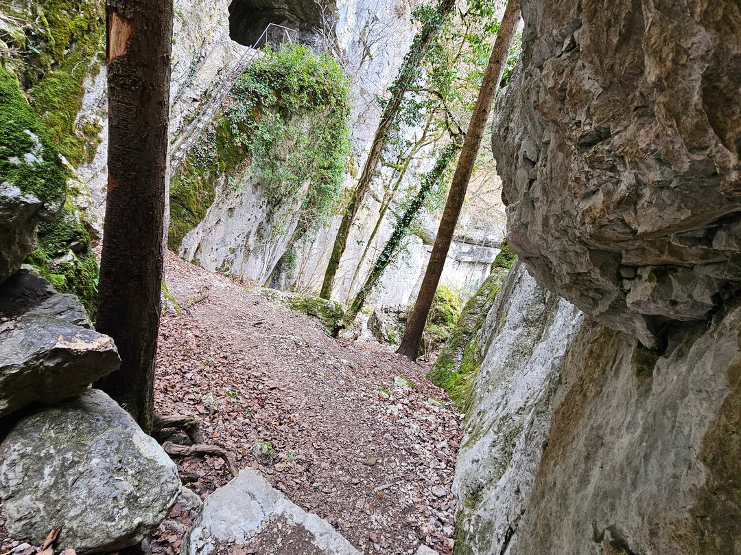 Grotte des Faux-Monnayeurs-Mouthier-Haute-Pierre必去景点