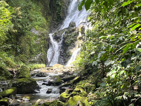 科利布里斯小屋酒店主图