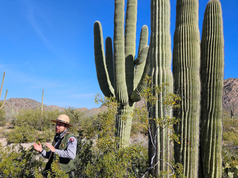 Saguaro National Park-图森必去景点