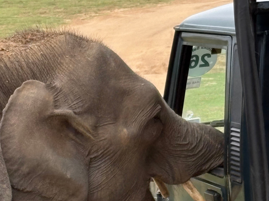 MP Tours Sri Lanka-Marawila必去景点