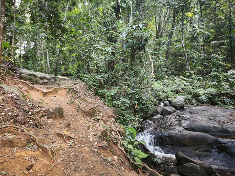 Sentier du Rorota-Remire-Montjoly必去景点