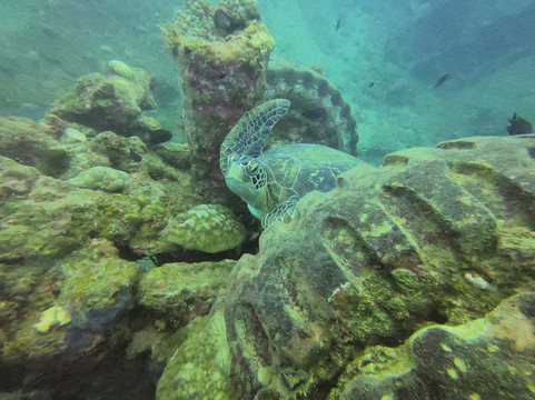 Aore Adventure Sports & Lodge-Aore Island必去景点