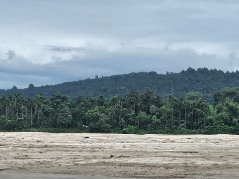The Sundarbans-库尔纳县必去景点