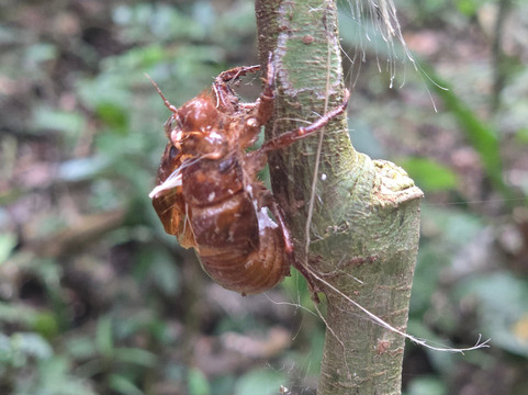 Empirical Tour and Travel Ltd-吉塞尼必去景点