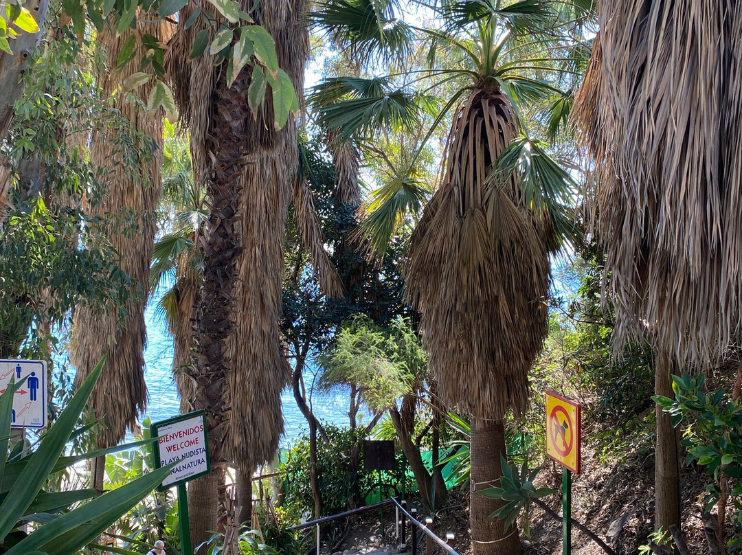 Playa de Benalnatura-班纳玛德纳必去景点