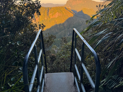 Kauaeranga Kauri Trail (Pinnacles Walk)-Thames必去景点
