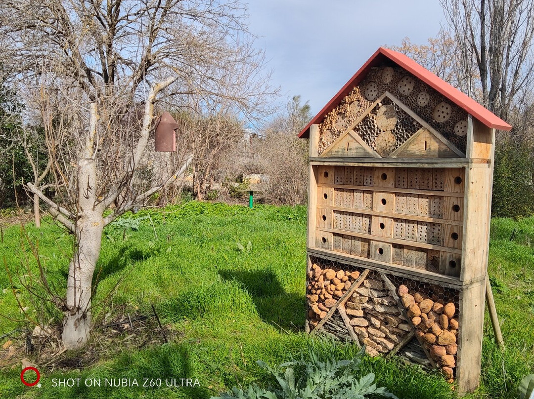 Jardin Botanico de Castilla-La Mancha-阿尔瓦塞特必去景点