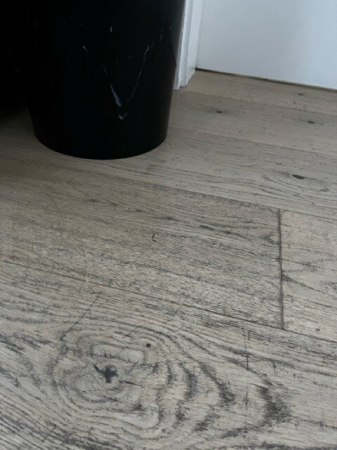 Jaumann's Südwind Sylt主图