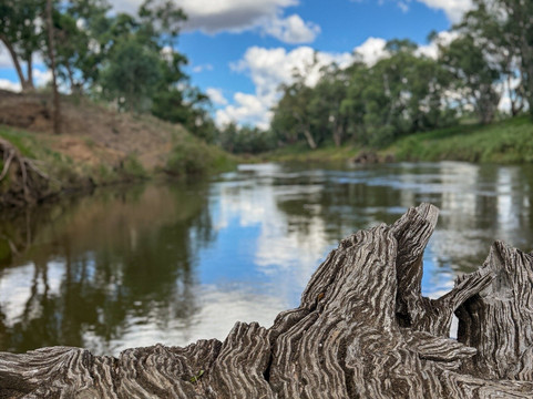 Terramungamine Reserve and Rock Grooves-达博必去景点