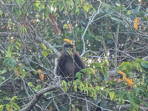 Panama Road Trips-巴拿马城必去景点