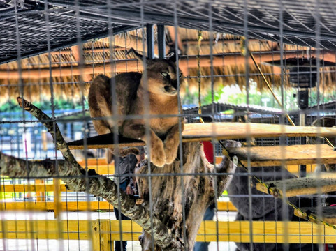 Animal Edventure Park