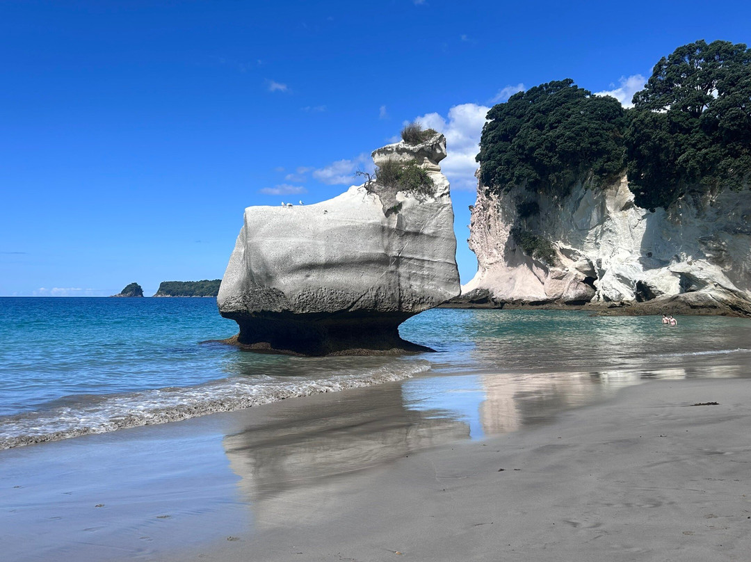 Hahei Kayak Rentals-哈海必去景点