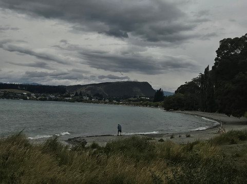 That Wanaka Tree-瓦纳卡必去景点