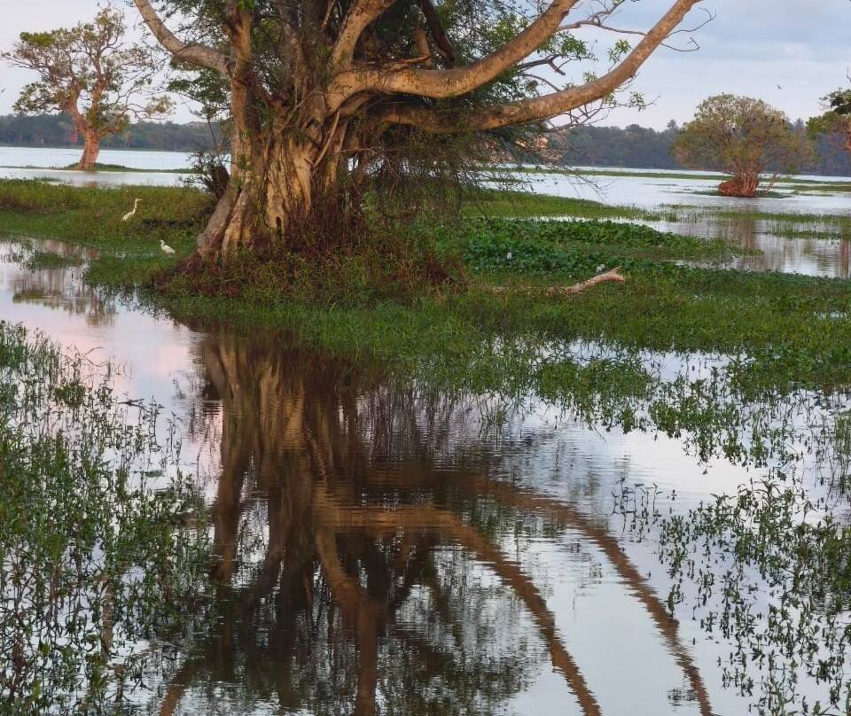 S7 Travels-Nattandiya必去景点