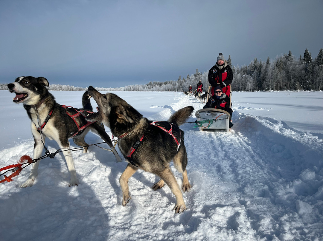 Era-Susi Huskies - Day Tours-Rukatunturi必去景点