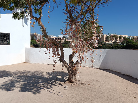 Igreja de Nossa Senhora da Rocha-Porches必去景点