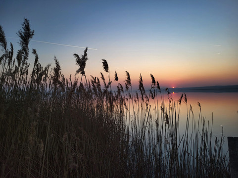 尼尔斯湖畔 - 限成人主图